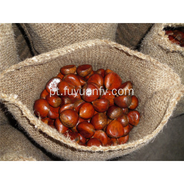 castanha fresca 30-40 pçs / kg